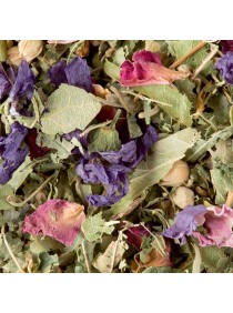 TISANE DES MERVEILLES